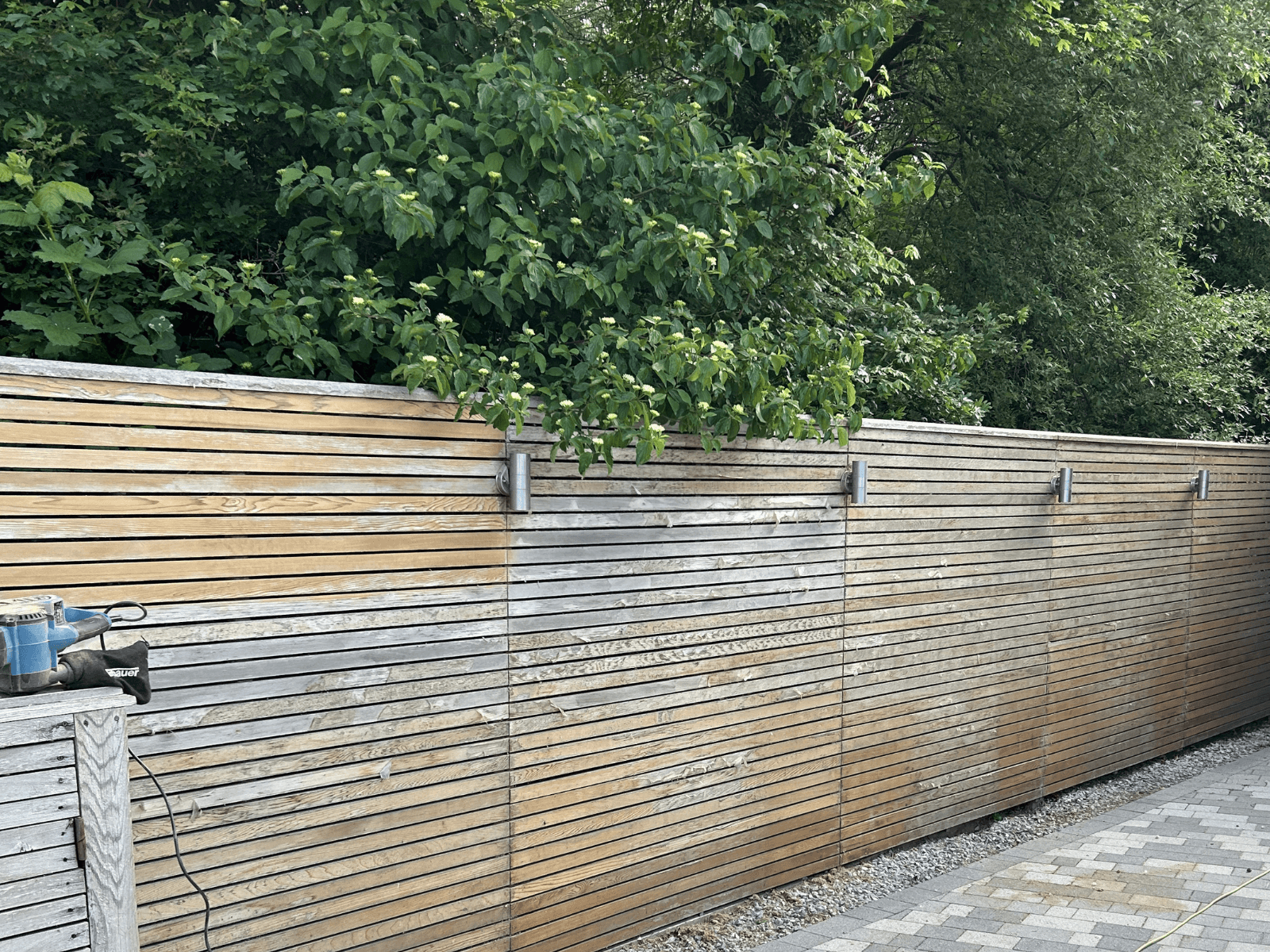 Cedar slatted fence before cleaning