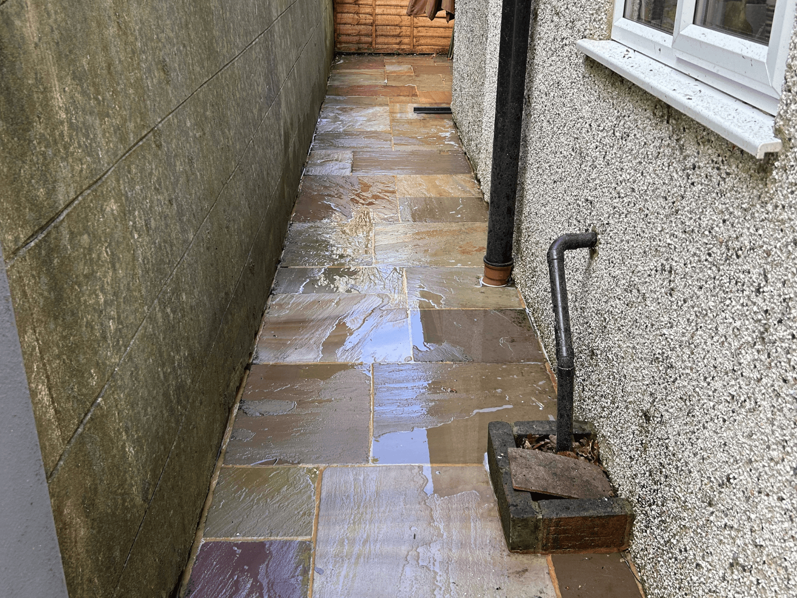 Indian sandstone path after cleaning
