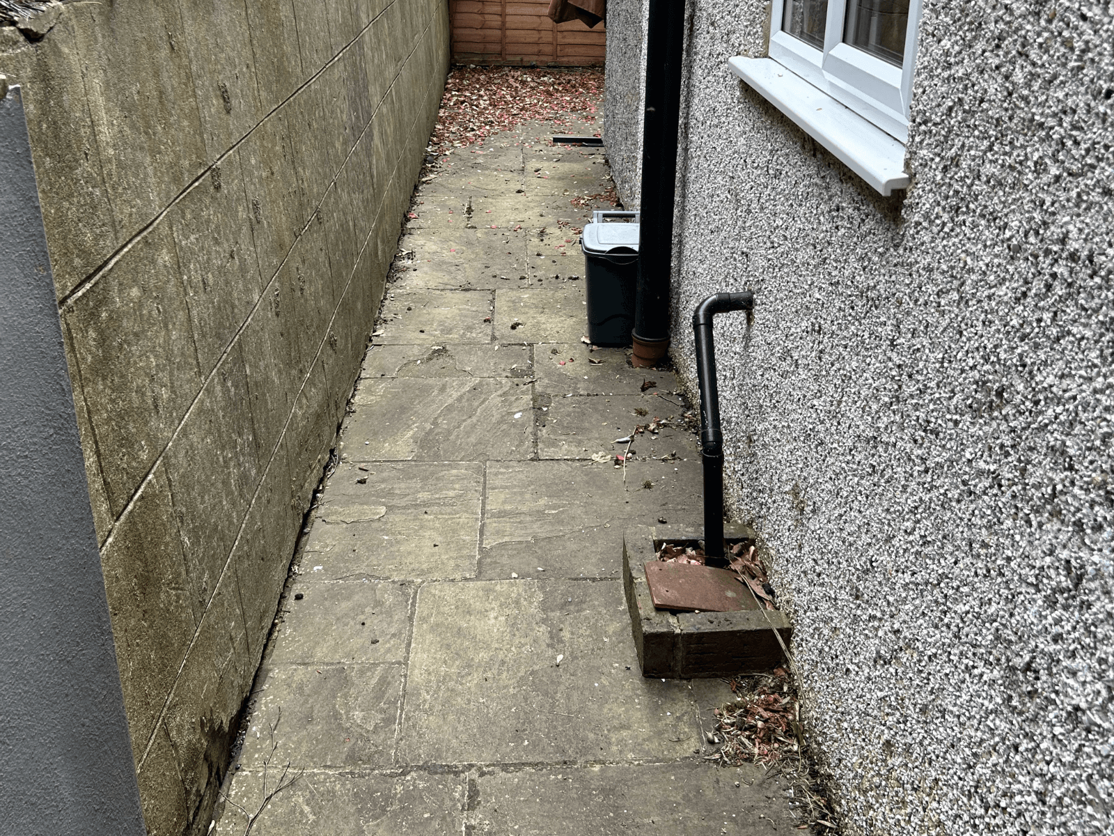Indian sandstone path before cleaning